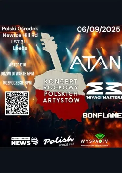 koncert rockowy polskich artystow copy