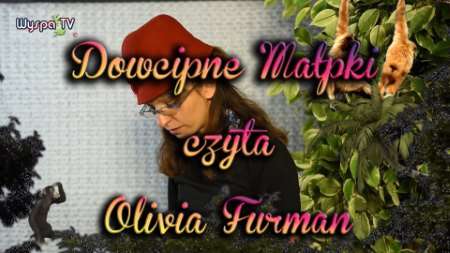 Dowcipne małpki - czyta Olivia Furman